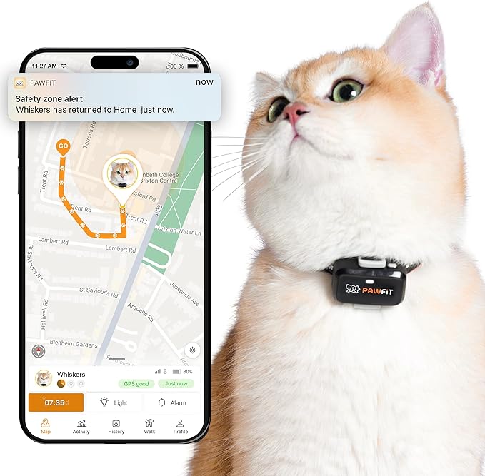 Pawfit Lite for Cats 4g GPS Tracker | Ultra-Small Design | Real-Time Tracking | by Pawfit