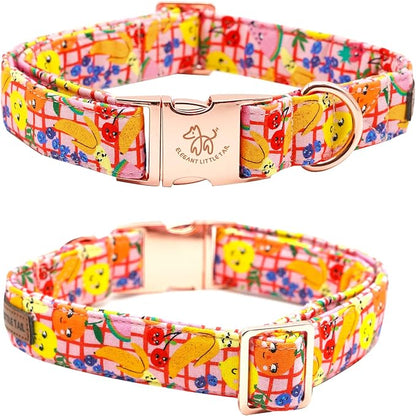 Elegant little tail Dog Collars - Image 3