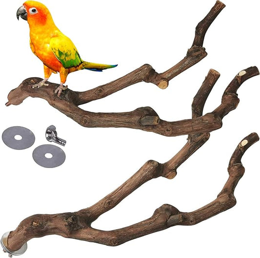 kathson Natural Parrot Perch Bird Stand Pole Wild Grape Stick Paw Grinding Fork by kathson