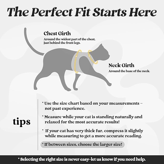 rabbitgoo Cat Harness and Leash Set - Image 2