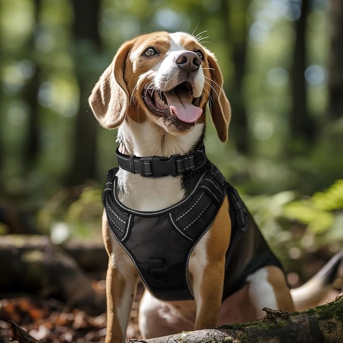 Joytale Reflective Dog Collar, Soft Neoprene Padded Breathable Nylon Pet Collar - Image 2