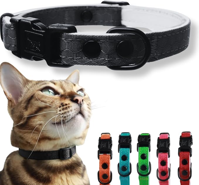 OutdoorBengal Black Breakaway Kitten Collar by OutdoorBengal