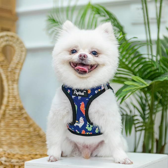 PUPTECK Adjustable Dog Harness Collar and Leash Set, Step in No Pull Pet Harness - Image 5