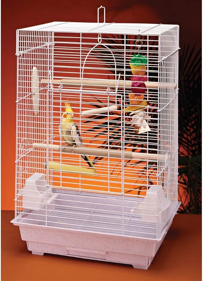 PENN-PLAX Cockatiel & Small Parrot Starter Kit - Image 3