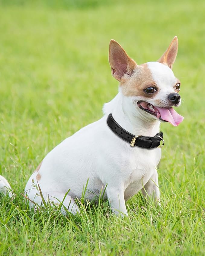 Joytale Leather Dog Collar for Small Dogs, Genuine Solid Sturdy Leather for - Image 2