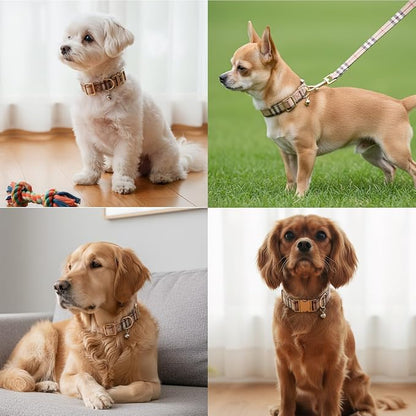 Yizepet Dog Collar and Leash- Adjustable pet Collar - Image 5