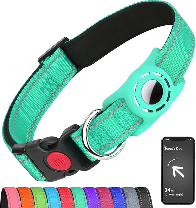 Airtag Dog Collar with AirTag Holder by Erbine