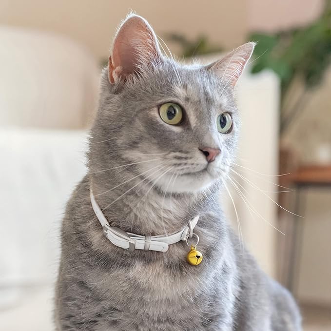 CollarDirect Leather Cat Collar - Image 6
