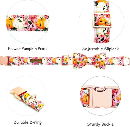 Fall Dog Collar - Image 2