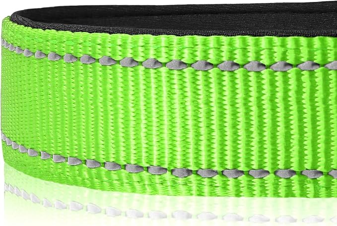 Joytale Reflective Dog Collar, Soft Neoprene Padded, Metal D-Ring, Nylon Pet - Image 4