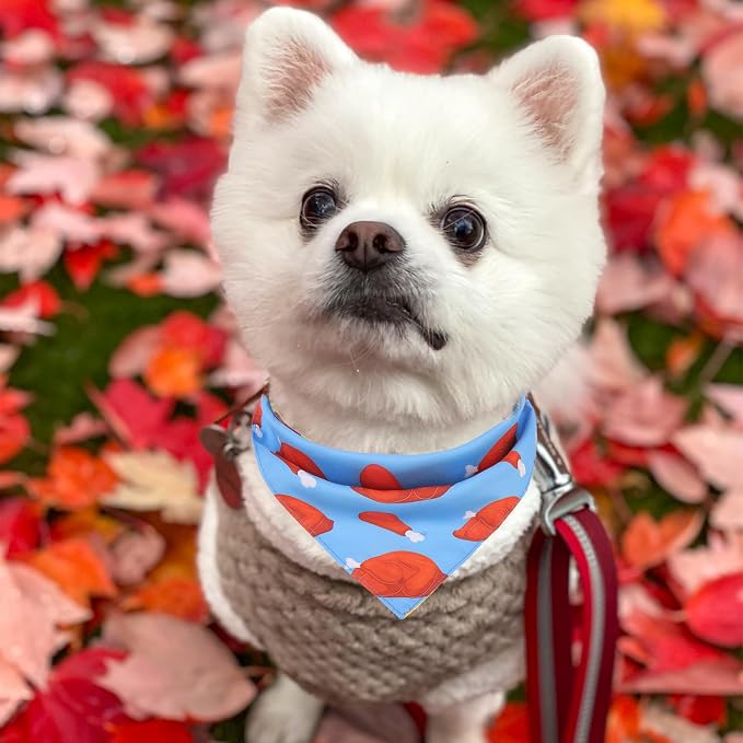 PAWCHIE Thanksgiving Dog Bandanas 4 Pack, Reversible Dogs Triangle Scarf Bibs - Image 6