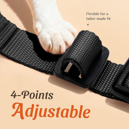 Dooradar Cat Harness and Leash Set, Escape Proof Safe Adjustable Kitten Vest - Image 3