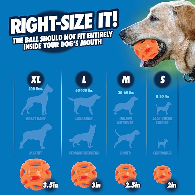 Chuckit! Air Fetch Ball Dog Toy, - Image 4