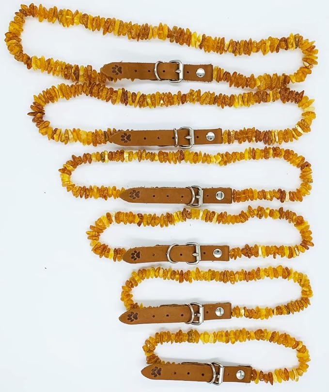 Baltic Amber Dog & Cat Collar - Image 7
