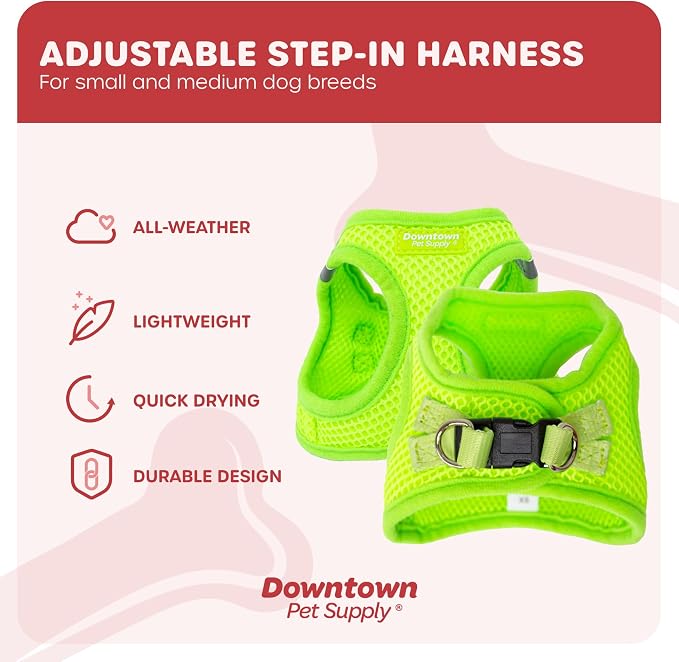 Downtown Pet Supply Step-in Dog Harness – No Pull, Adjustable Padded Mesh - Image 3