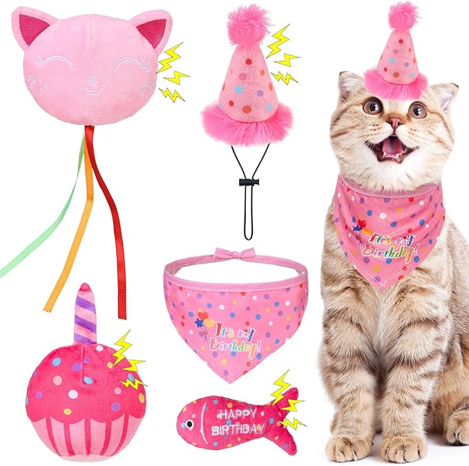 BINGPET Cat Birthday Catnip Toys by BINGPET