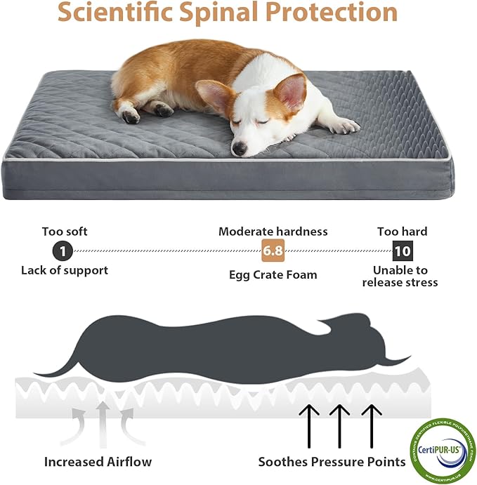 WNPETHOME Orthopedic Big Dog Beds Large Sized Dog, Waterproof Extra Large Dogs - Image 3