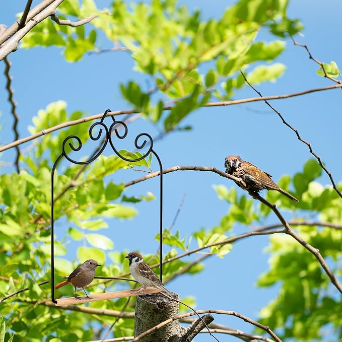 3 Pcs Hummingbird Swings and Perches Wild Bird Swing Metal Frame - Image 7