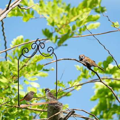 3 Pcs Hummingbird Swings and Perches Wild Bird Swing Metal Frame - Image 7