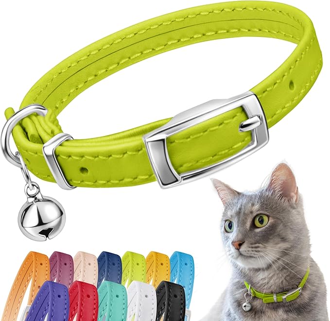 CollarDirect Leather Cat Collar by CollarDirect
