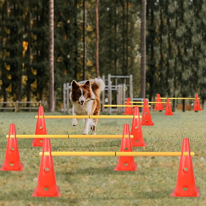 TNZMART Dog Agility Hurdle Cones Pet Jump Training Set Dog Agility Course - Image 6