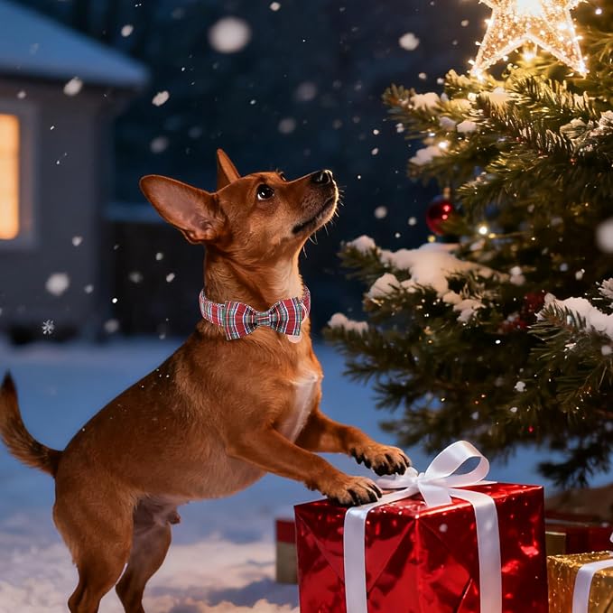Christmas Plaid Dog Collar - Image 6
