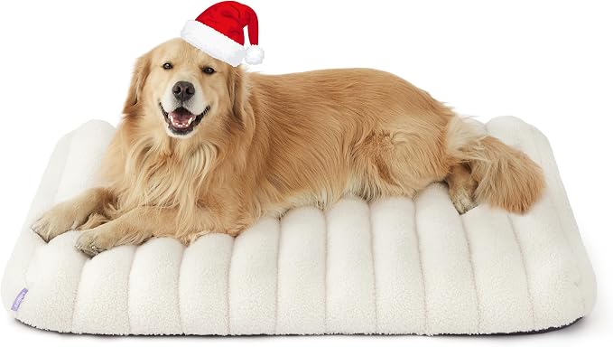 LE SURE Cute Orthopedic Dog Bed by Lesure