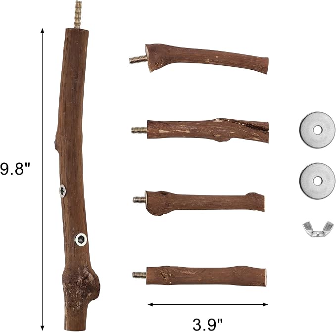 CozyCabin Natural Bird Perch Stand - Image 5