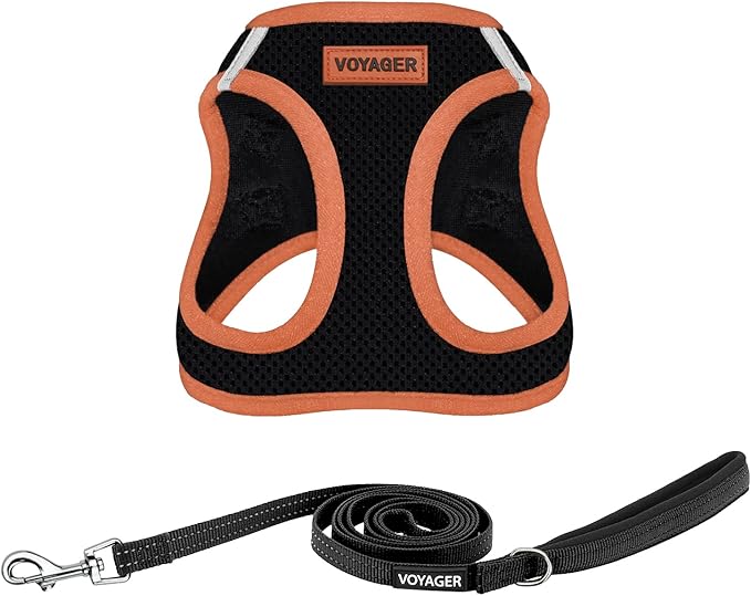 Best Pet Supplies Voyager Step-in Air All Weather Mesh Harness and Reflective by BestPetSuppliesLLC