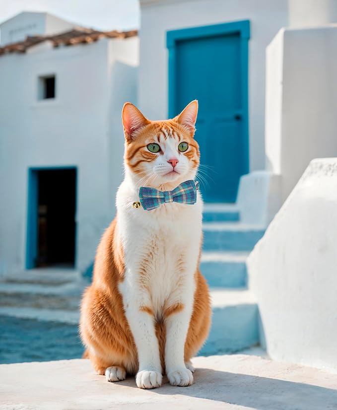 2 Pack Soft Cotton Cat Collars - Image 5