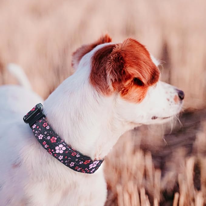 QQPETS Adjustable Soft Dog Collar: Print Flower Pink Multicolor Cute Patterns - Image 2