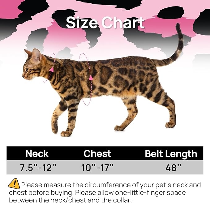 Cat Harness and Leash Set - Image 2