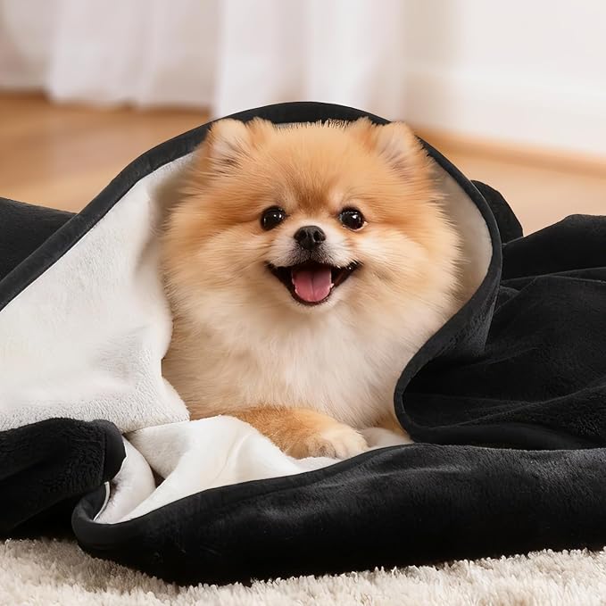 LOOBANI Waterproof Dog Blanket: Spill-Proof Puppy Blankets - Image 6