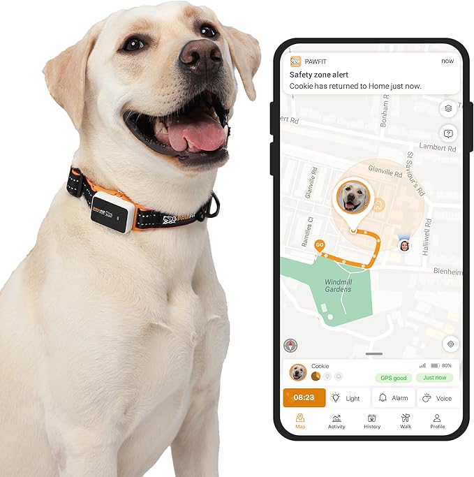 Pawfit 3 GPS Pet Tracker GPS Dog Tracker 4G Live Tracking, Smart Alerts by Pawfit