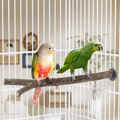 Niteangel Natural Wooden Perches - Image 7