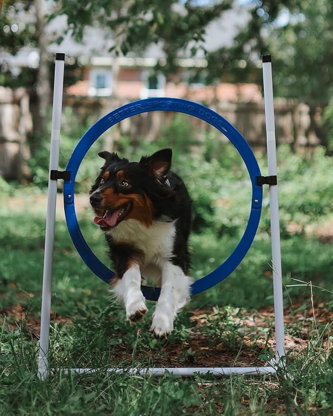 Better Sporting Dogs 4 Pack Adjustable Dog Agility Jumps w/Safety-Focused - Image 4