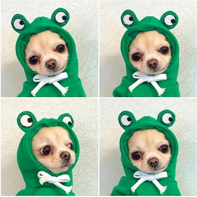 Warm Dog Winter Clothes Cute Fruit Dog Coat Hoodies Fleece Pet Dogs Costume - Image 2