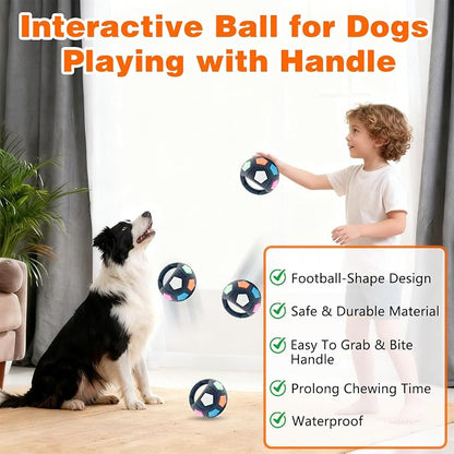 Dog Calming Ball with Handle, Interactive Ball - Image 4