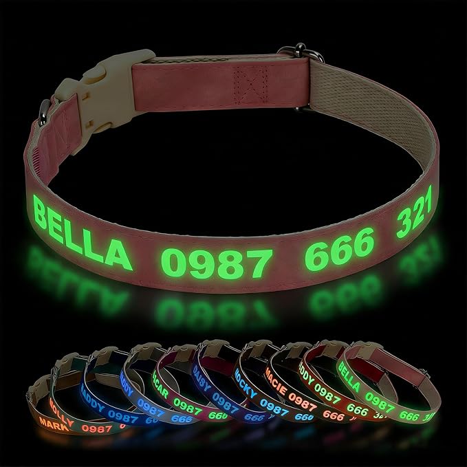 DOG WORLD Custom Fluorescent Dog Collar by DOG+WORLD