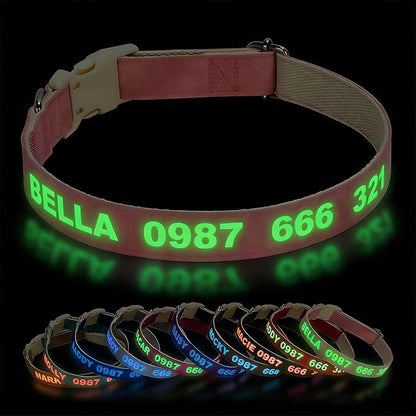 DOG WORLD Custom Fluorescent Dog Collar by DOG+WORLD