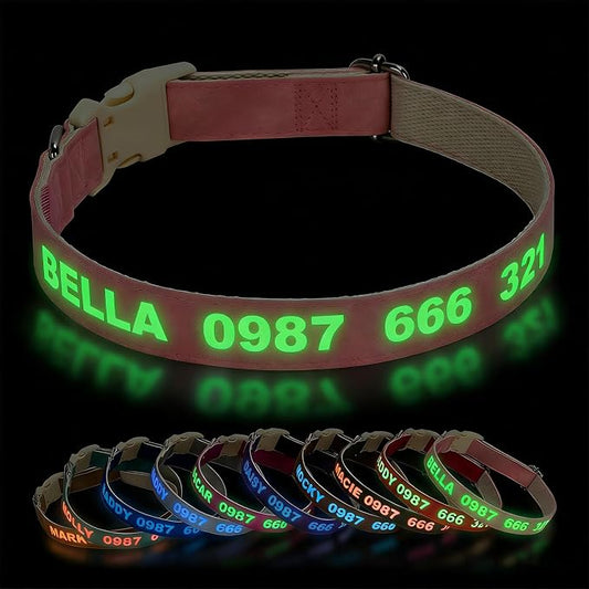 DOG WORLD Custom Fluorescent Dog Collar by DOG+WORLD