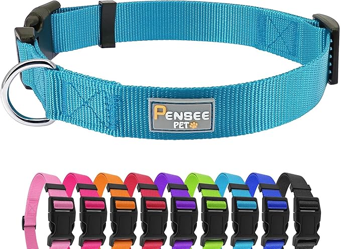 Dog Collar Light Blue Basic Dog Collars by Penseepet