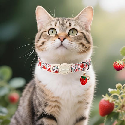 ARING PET 2 Pack Cat Collar-Cute Kitty Collars - Image 5