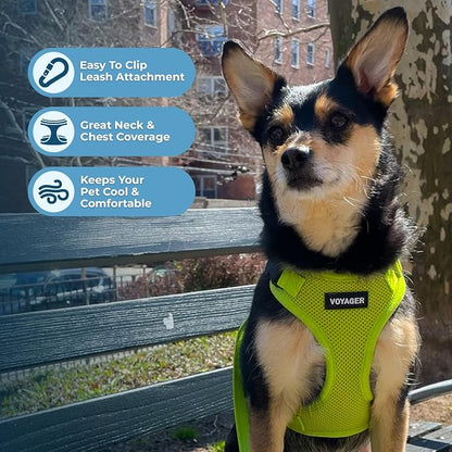 Voyager Step-in Pet Harness - Image 3