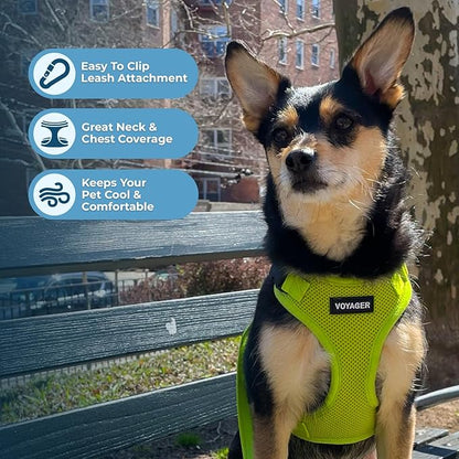 Voyager Step-in Pet Harness - Image 3