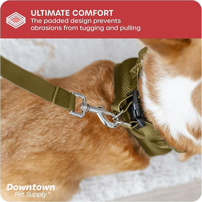 Downtown Pet Supply Step-in Dog Harness – No Pull, Adjustable Padded Mesh - Image 6