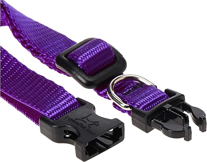 LupinePet Basics 1/2" Purple 8-12" Adjustable Collar - Image 2