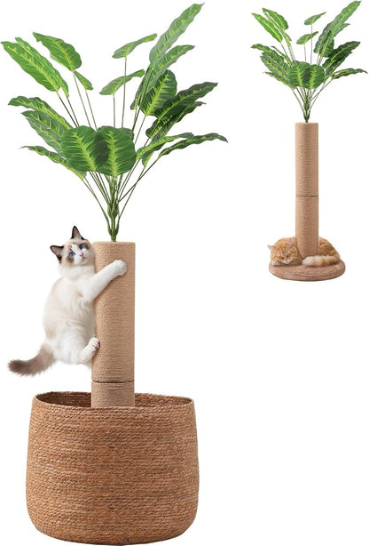 62 Inch Tall Cat Scratching Post by EMUST