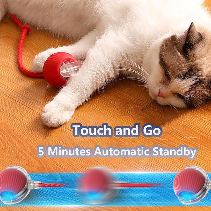 Interactive Cat Toys for Indoor Cats, Agility Move Cat Balls, Motion Activated - Image 6