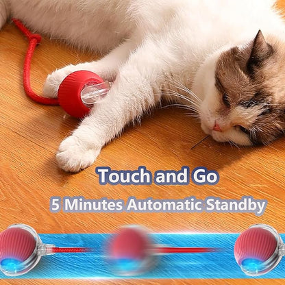 Interactive Cat Toys for Indoor Cats, Agility Move Cat Balls, Motion Activated - Image 6